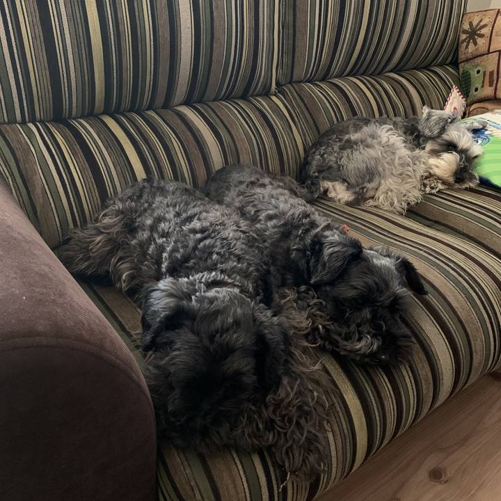 A510c95e 7725 4538 8786 c19a1b08a7b8 1588901468740