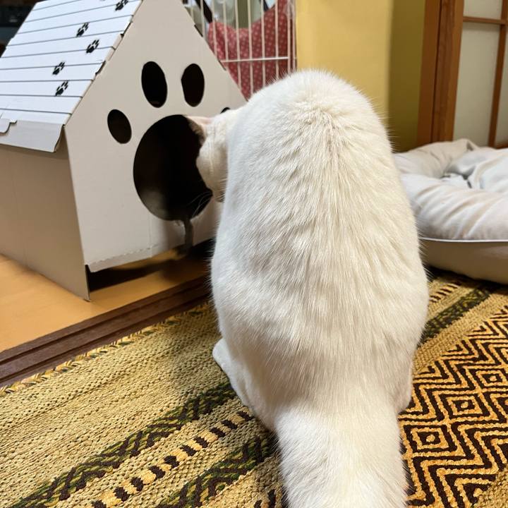 A510ea0e c783 4310 b35f a8154348a65e 1668946670933