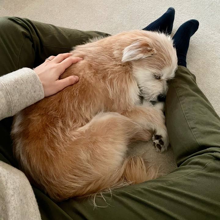 A5110537 920a 463f 93a0 217525f58bbc 1767651499584