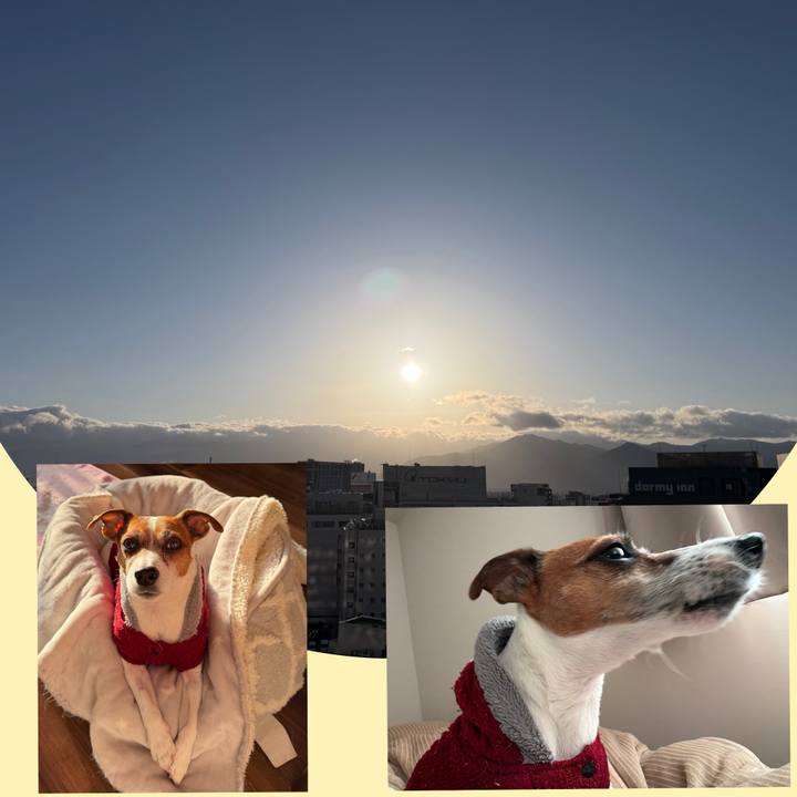 A51151a3 579a 4c3c b111 418634b29ee2 1772674184454