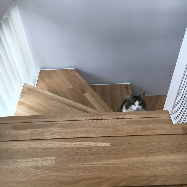 A511a4e1 f143 4d6a 9b7a 2995a7bce480 1529661411385