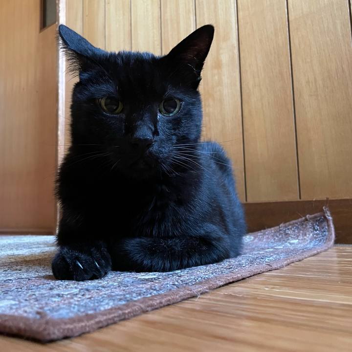 A511d55b 6c0f 4224 a729 c34eadfa6219 1628643367397