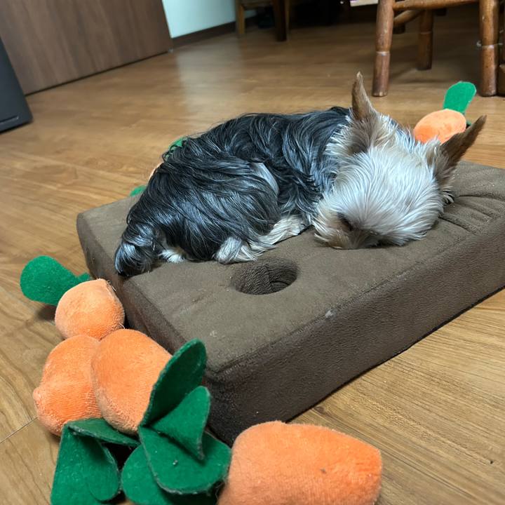 A511f196 e6e6 4419 8a34 ad0a358b544e 1747526032556