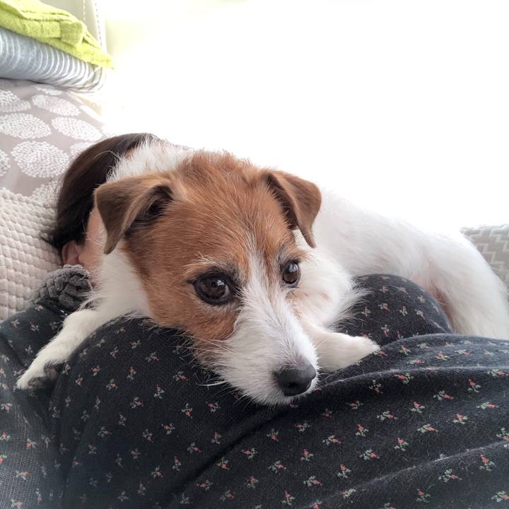 A51209a5 1151 4e79 9745 c16bbcc8da10 1618698643364