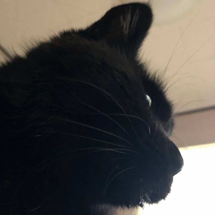 A5124531 a297 4c4f 8666 9d20eb897975 1634421886869