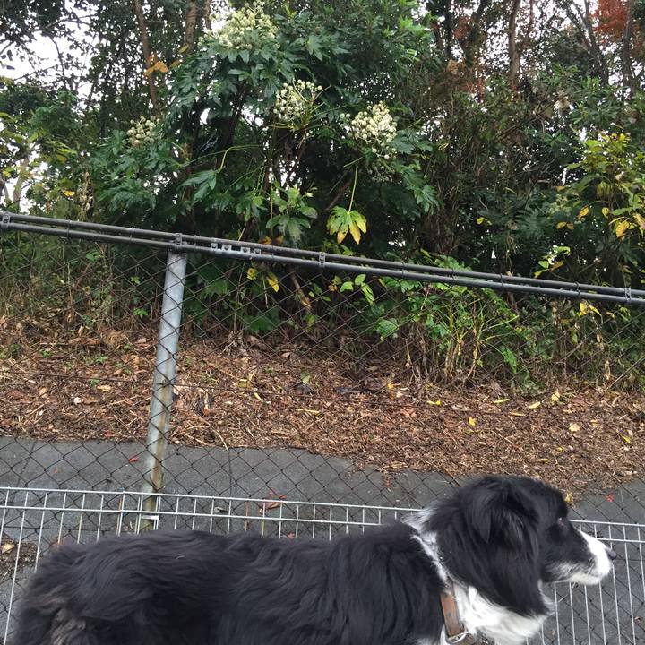 A512839e 3a26 42ad bb22 d3f11d97f22a 1543362442554