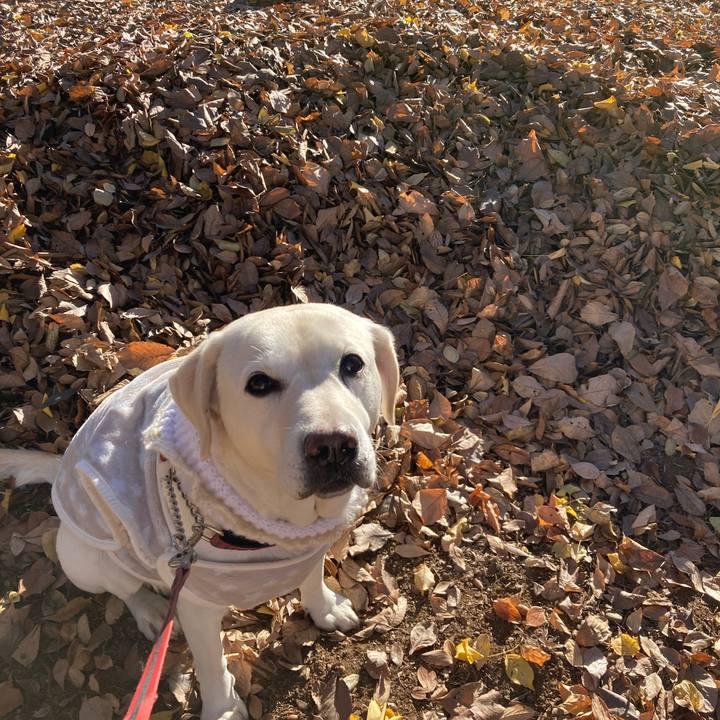 A512887b f8a4 480c b551 a935b8808361 1734399611775