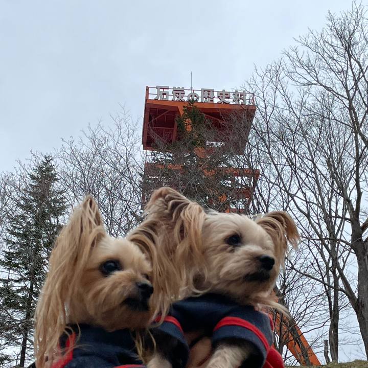 A512890a 5339 4dab 9a0b e344e9113669 1619947866221