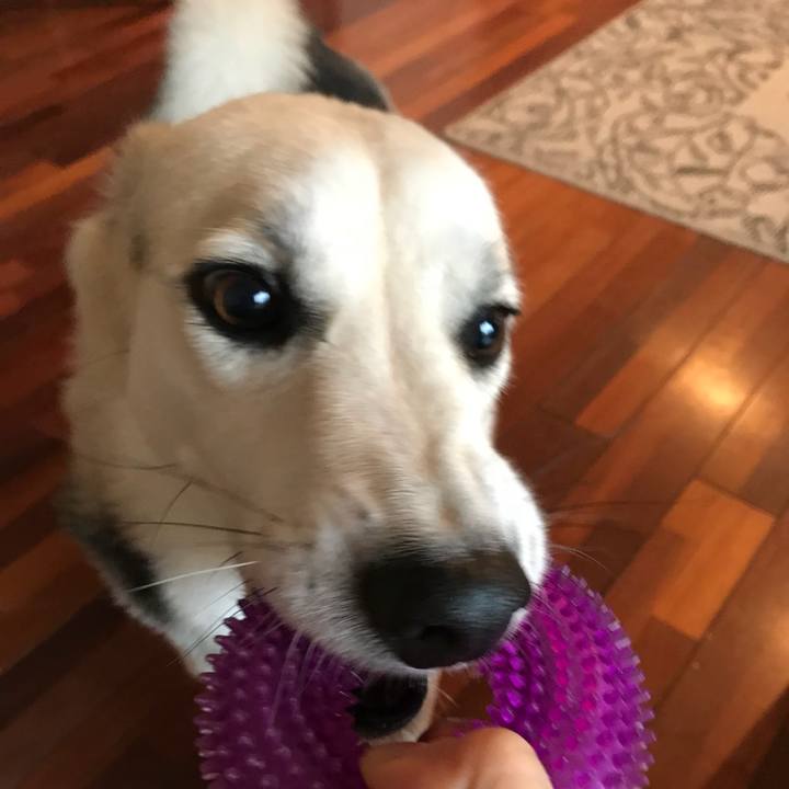 A512f803 2dff 4e22 80e2 c513801b39be 1512467418973