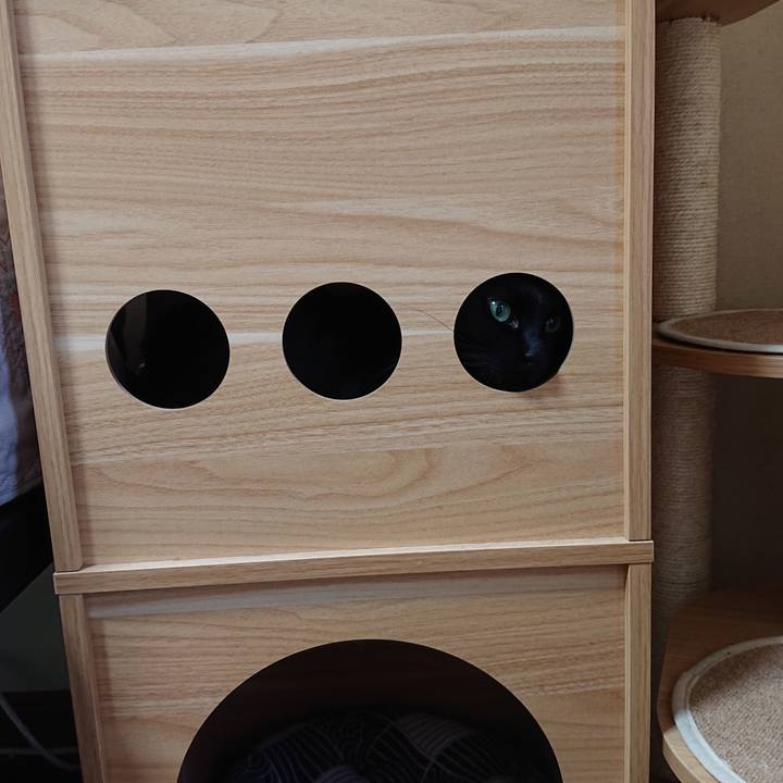 A513253b 3690 457a b479 208a30ba8afe 1714799264143