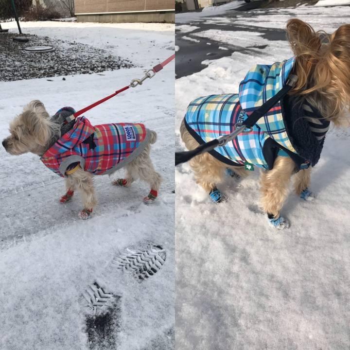 A5132b13 5322 4b86 924b 08cf75de7d8a 1576832560862