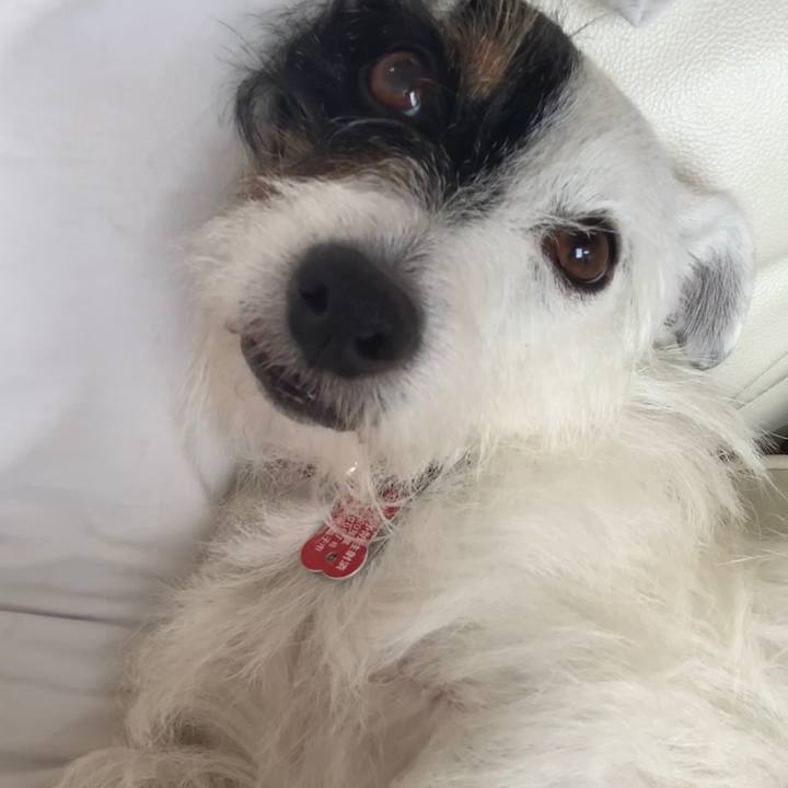 A513396f 59f7 44d2 81a0 5af5c3edd4ed 1594013840929