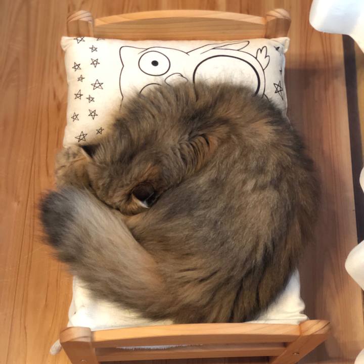 A513b6b1 69c0 463b 9984 a22c7cd5477b 1621137086905