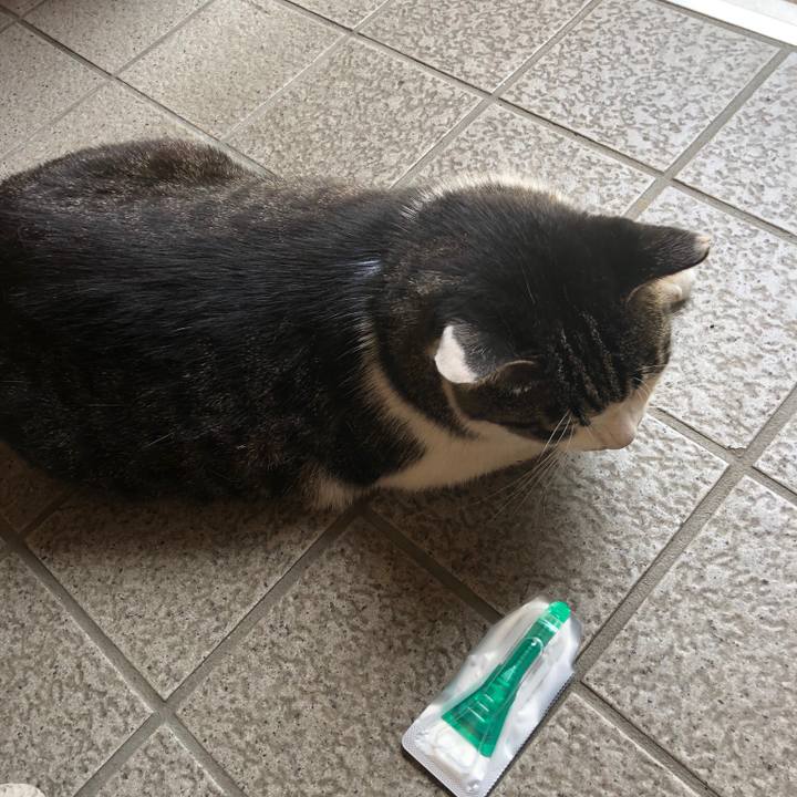 A513d37c 74ca 423f 8c76 4939a0ea43ad 1528451308838