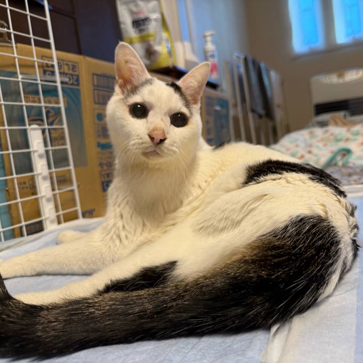 A5140bbc 9907 4247 8952 95795e3caccd 1768695588719