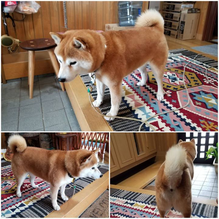 A5141b85 81e5 4886 ac2e 09a5ad143a6d 1585390067985