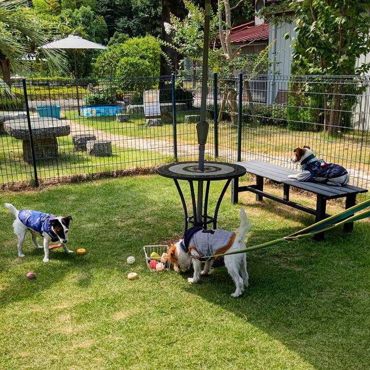 A51431ed 69f6 433b a4b4 345bbdccb5c9 1691325451380