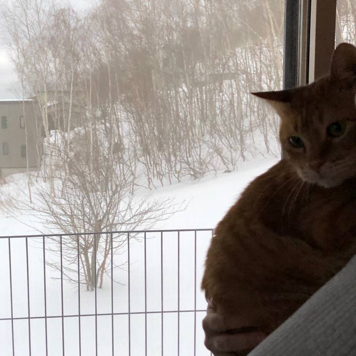 A514365e 5309 4630 8481 0e5ad1b956c6 1583271063241