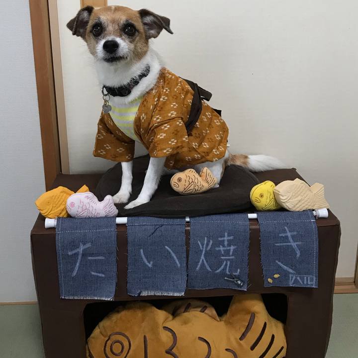 A5147495 3661 475d aa91 0d8479dd11e2 1538955454039