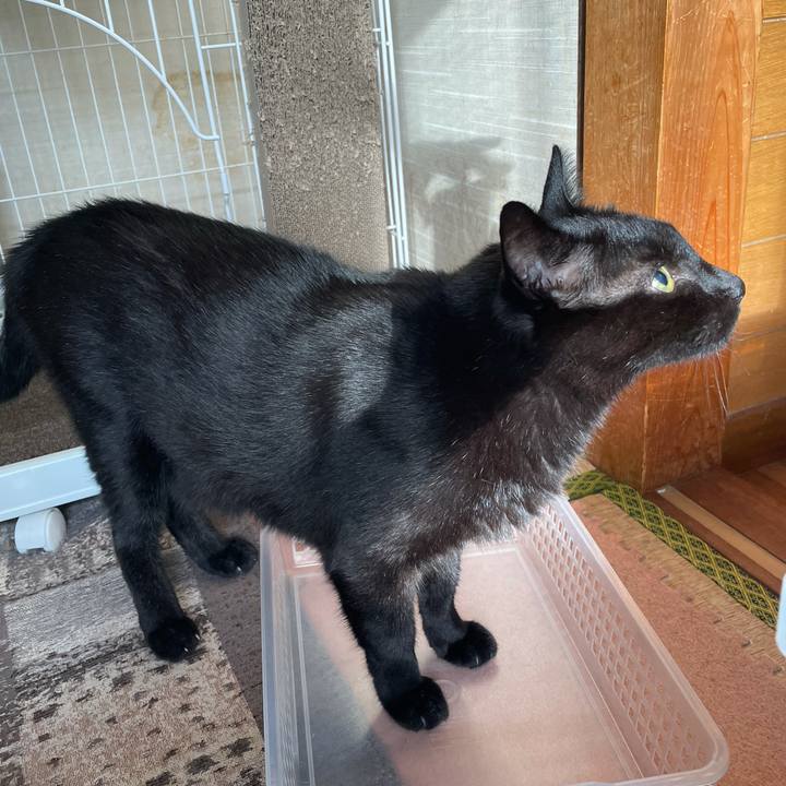 A514774b 31da 458b 88c6 2f3dbff52740 1630892127977