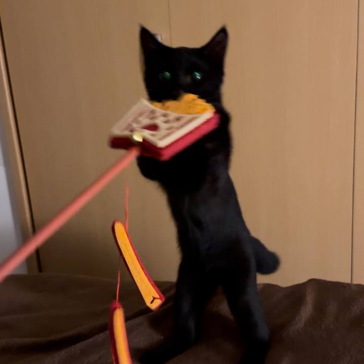 A514b4ea 541e 4d8f 905d ca010a772a4a 1727415802595