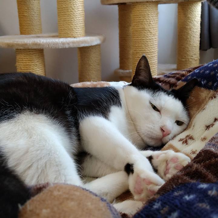 A514d7bc 5d84 406a 9ad9 3ab924e494ad 1620615016941