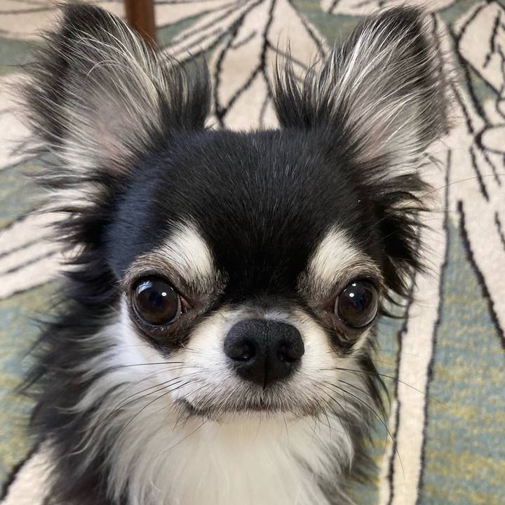 A5153360 b534 4a65 97d6 01ecfc259e9a 1625958609495