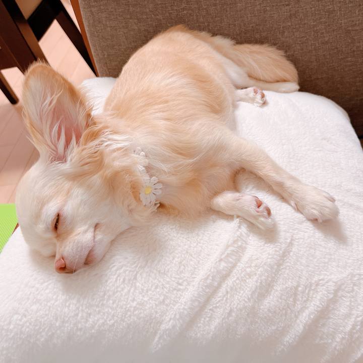 A515a655 8837 4a7f a0c8 235afa19e3de 1660384377865