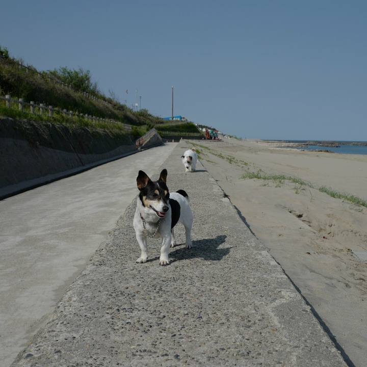 A515d55c 3661 4d26 993d fe906142b5e2 1527396196591