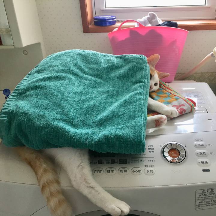 A515e95a a784 4d62 8abf cffe52669939 1528612551381