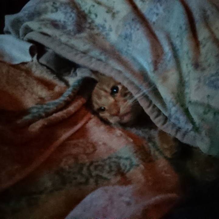 A5161b27 8935 4d79 81ff c51889e07d00 1653944159026