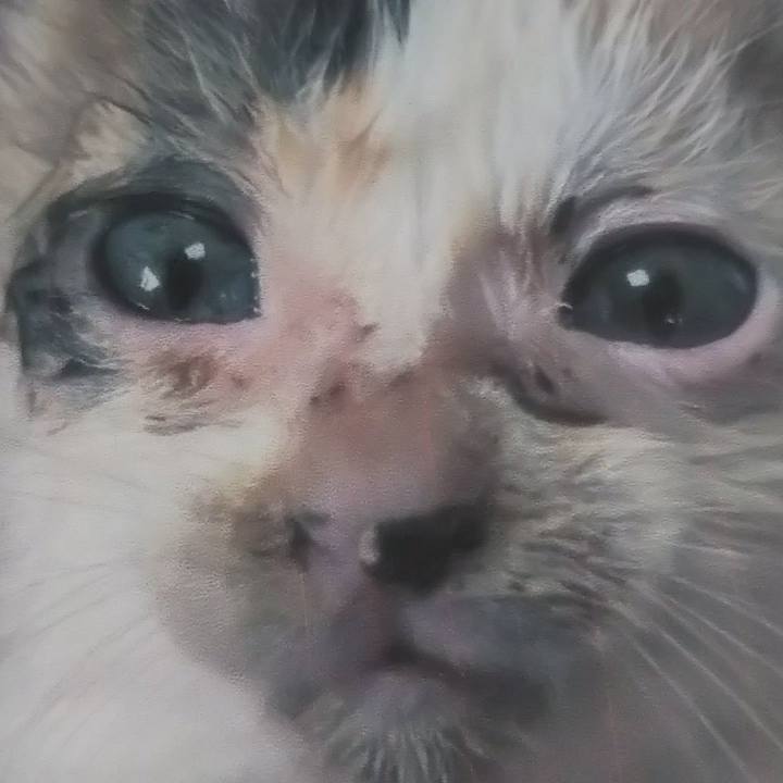 A5163ec8 c19f 4274 8271 289ed1f39d45 1633335322068