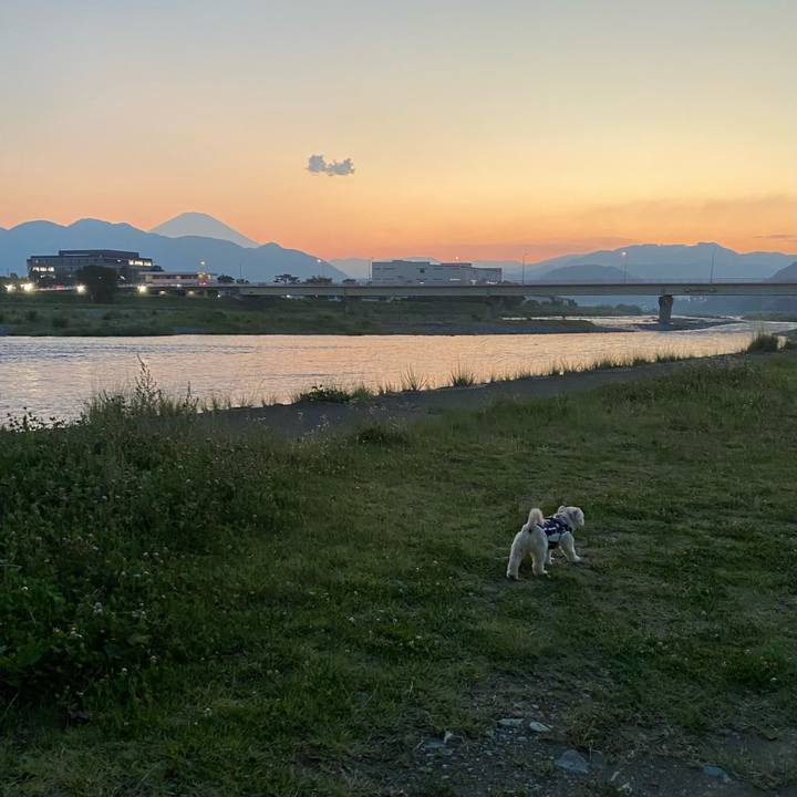 A51652e2 edaf 43f6 b283 852b41dcd1e6 1720179496184