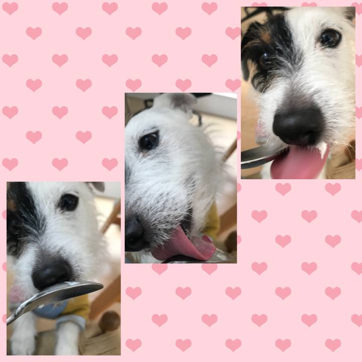 A5165934 e276 4994 991d 9223ac828e7d 1519858567505