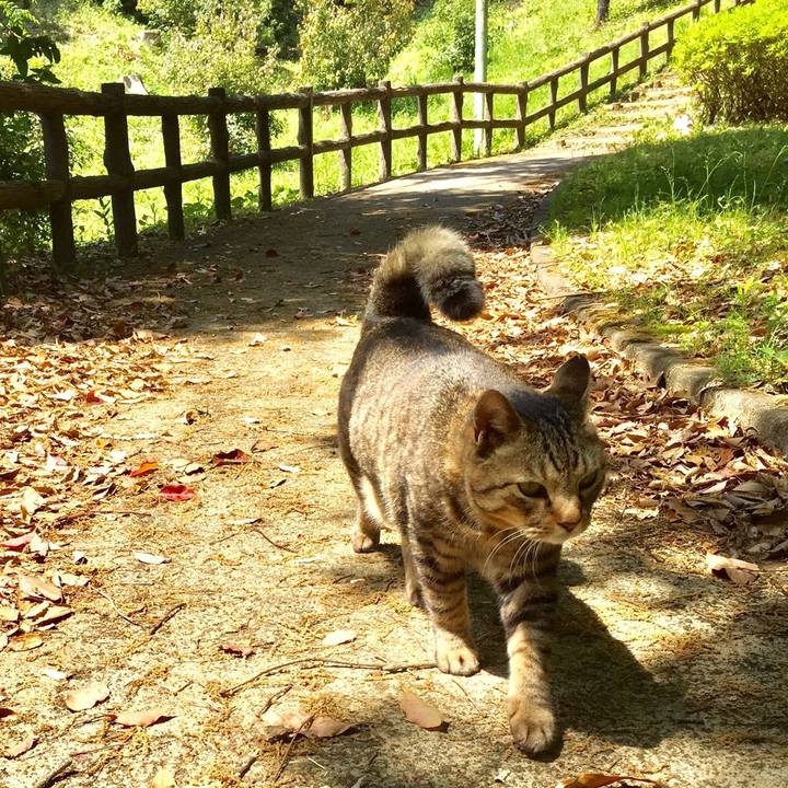 A5165d24 ed6d 4d5b 8427 5798c036f914 1524405675945