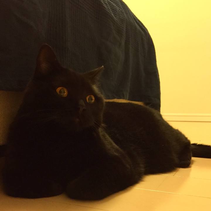 A51669fa b464 4c5d ad87 9dbc0f0d2eb6 1561469926077