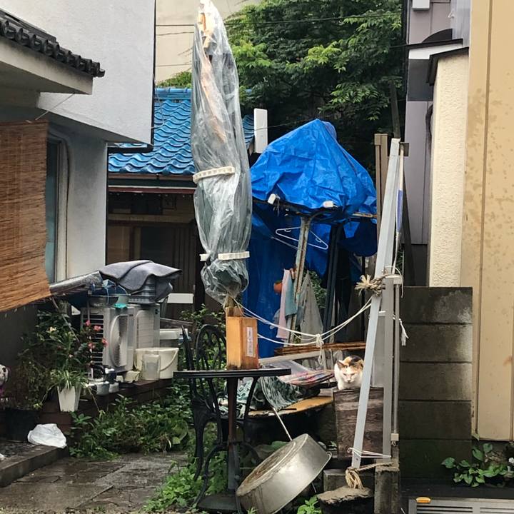 A5168425 2376 4ee2 9848 d9ecad30702b 1563106987441