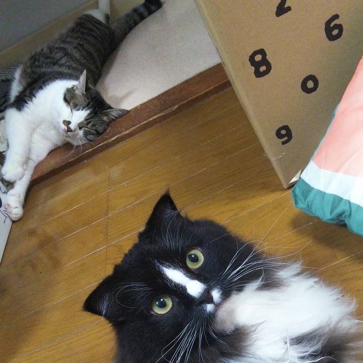 A516ae3e 6a20 4af8 a11a 0e06ec8a9102 1663252301140