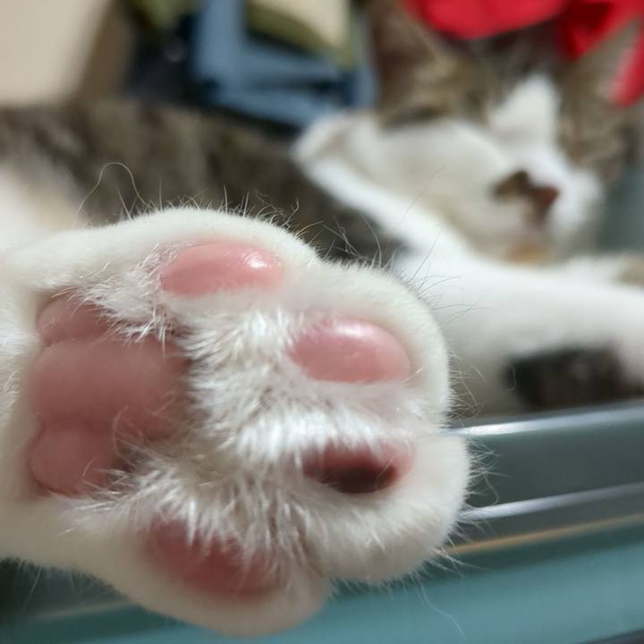 A516bd30 ee56 494a 823e bdf405f0d151 1747884242771