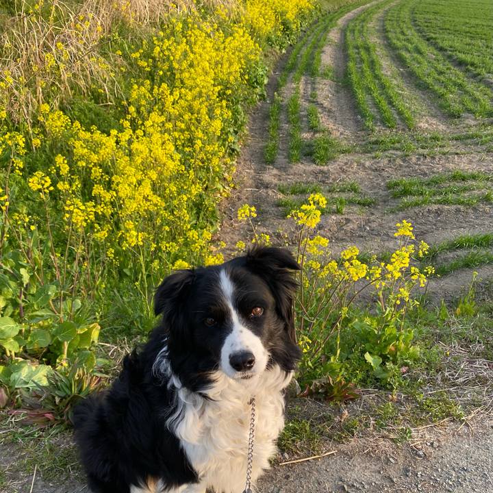 A516dada 69cb 46e1 8e33 1495de662805 1647039874804