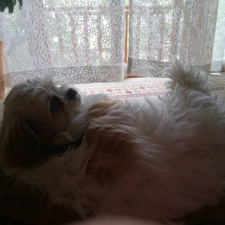 A516dbc3 d691 409c 9617 5f0586821dc1 1528169774885