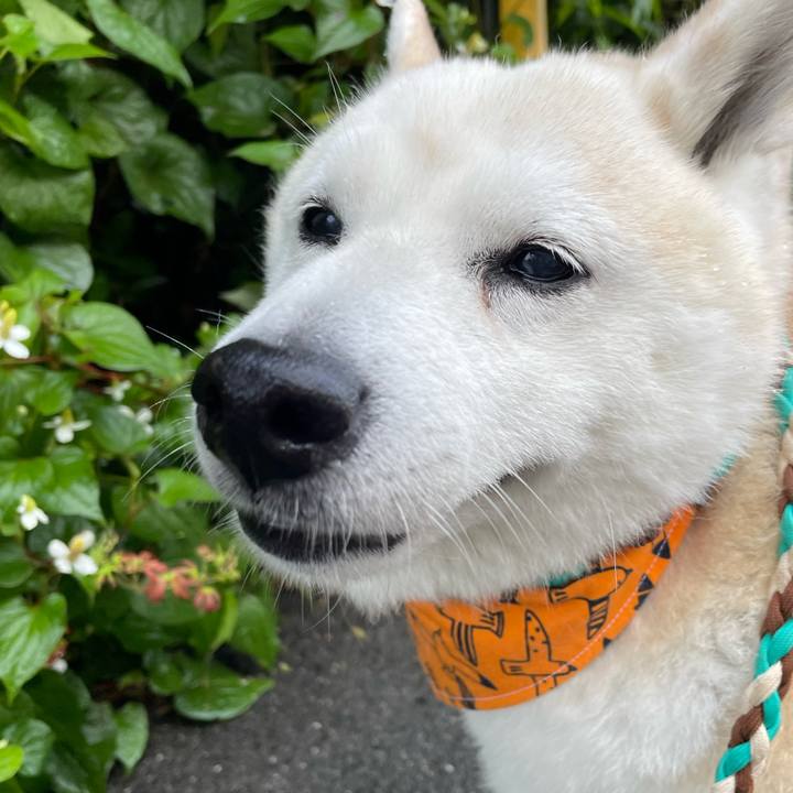 A5170bed 07f1 4ab1 9967 e9d0e20a2ebb 1653608017784