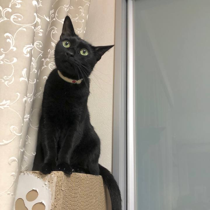 A51729d5 12b9 4837 919b 8c72b4a20fbe 1601170523045