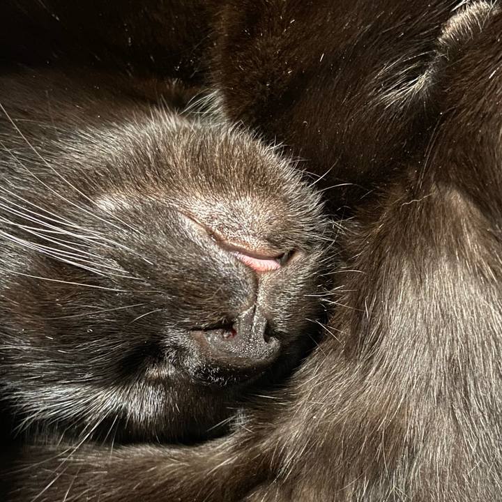 A51753c5 f87d 43d6 883a ca227ccede01 1644668950586