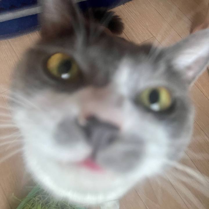 A51762ef 0e98 4848 9623 cd5a37bb36f3 1688593212986