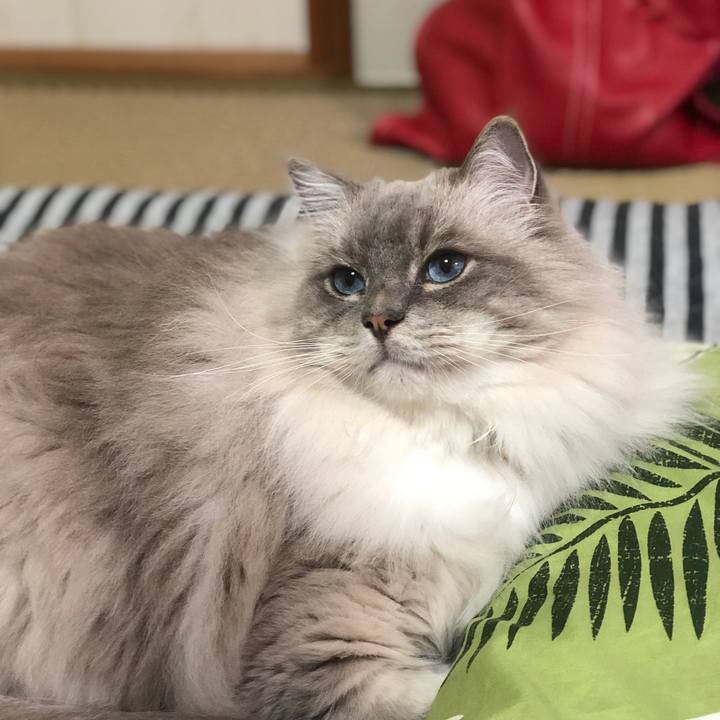 A51764b4 e751 43db 931e 349da9ecef86 1543845903424