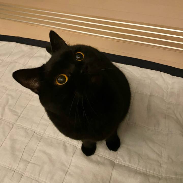 A517976a faa0 469d 9c72 0d71bbea9a1d 1673615008456