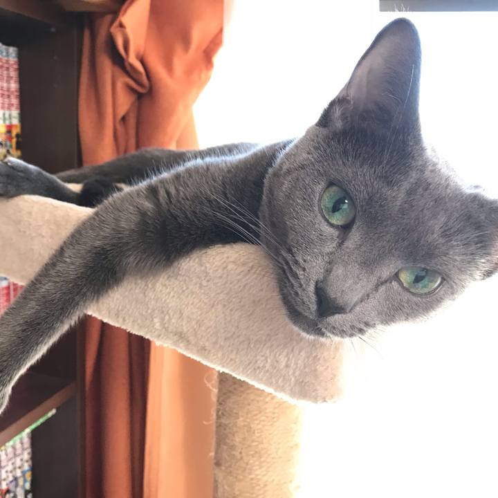 A517c740 4a8b 4517 ab94 483d7f414f0d 1540712327918