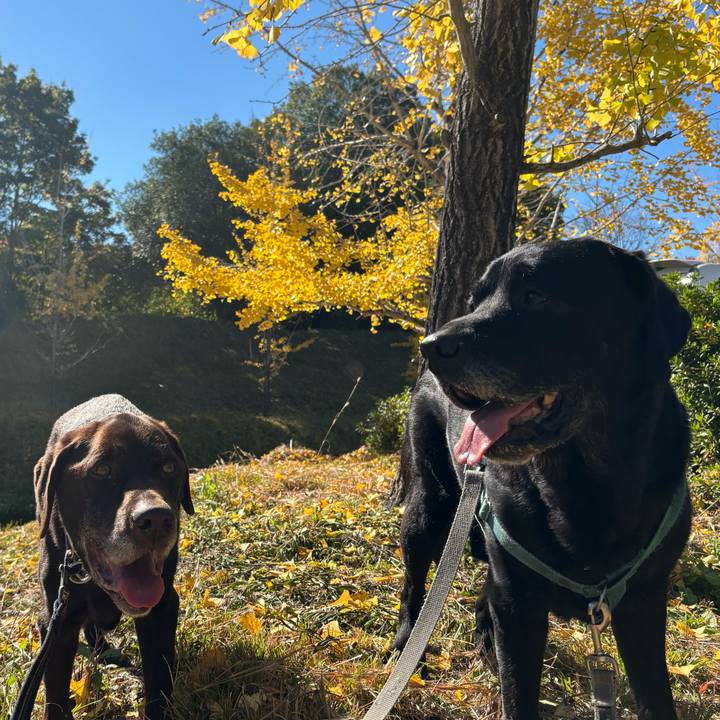 A517c7ac 425c 4e8b 8b2b 58f322f8eb55 1763291604605