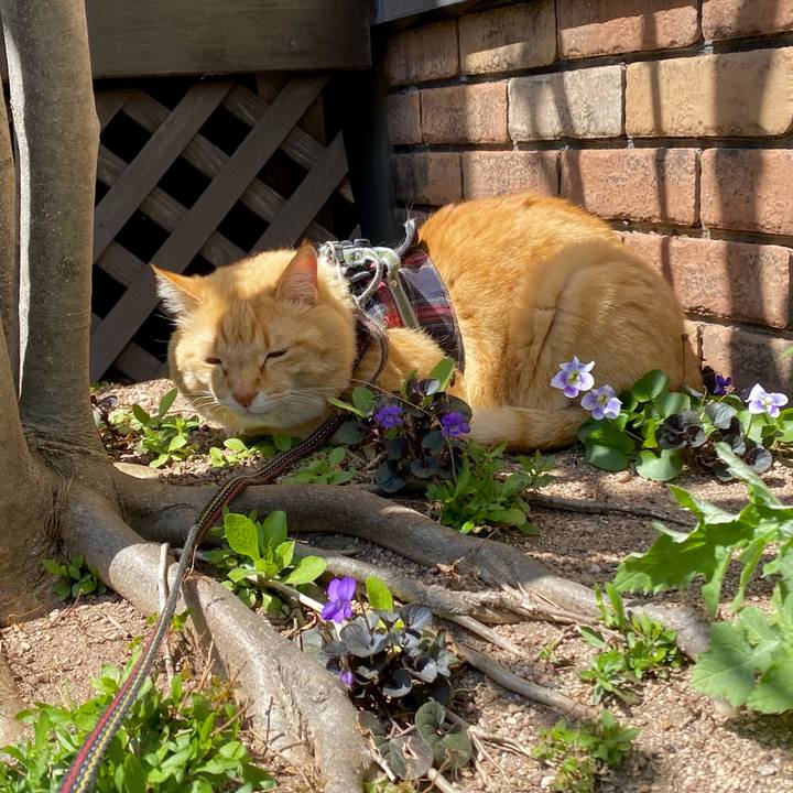 A517fa0e 72a2 4d57 8a21 0e7f9391f2cd 1680490650015